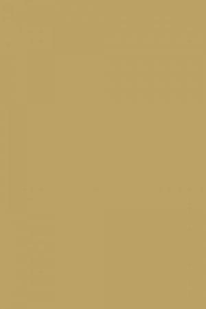 FARROW AND BALL CATS PAW NO. 240 PAINT
